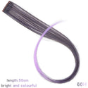 Lupu Synthetic Rainbow Highlighted Hair Girl One Chip in Hair Extension Hairpin Long Straight Hair Clip for Hair False Hair