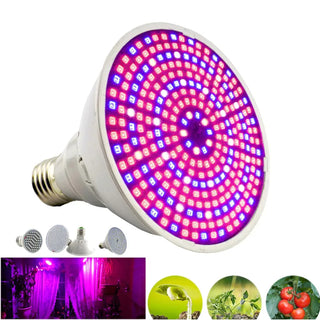 Full Spectrum Led Grow Light Bulbs E27 Plant Growing Lights Lamp for Indoor Hydroponics Room Cultivo Vegetable Flower Greenhouse