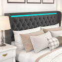 Queen Platform Bed Frame With High Headboard, Velvet Upholstered Bed With Deep Tufted Buttons, Adjustable Colorful LED L