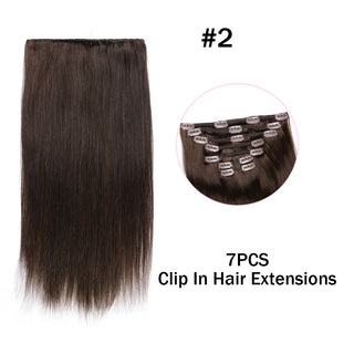 Buy dl-2 Hair Extensions Clip in Human Hair 7PCS Balayage Natural Black to Golden Blonde Clip in Hair Extension Real Human Hair Extension