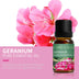 GERANIUM