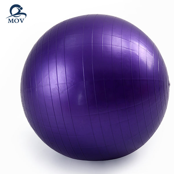 Anti Burst Gym Equipment Eco-Friendly Training Yoga Stability Ball