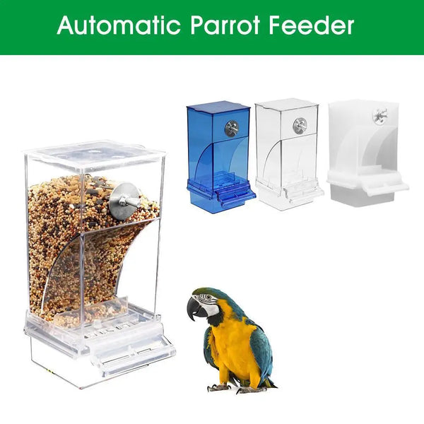 Bird Cage Feeder Cup Bowls Automatic Parrot Seed Feeders Hanging Food Dispenser Transparent Container for Canary Small Cockatiel