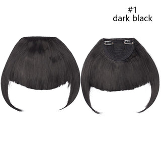 Buy dark-black HAIRRO Short Synthetic Bangs Heat Resistant Hairpieces Hair Women Natural Short Fake Hair Bangs Hair Clips for Extensions Black