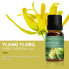 YLANG