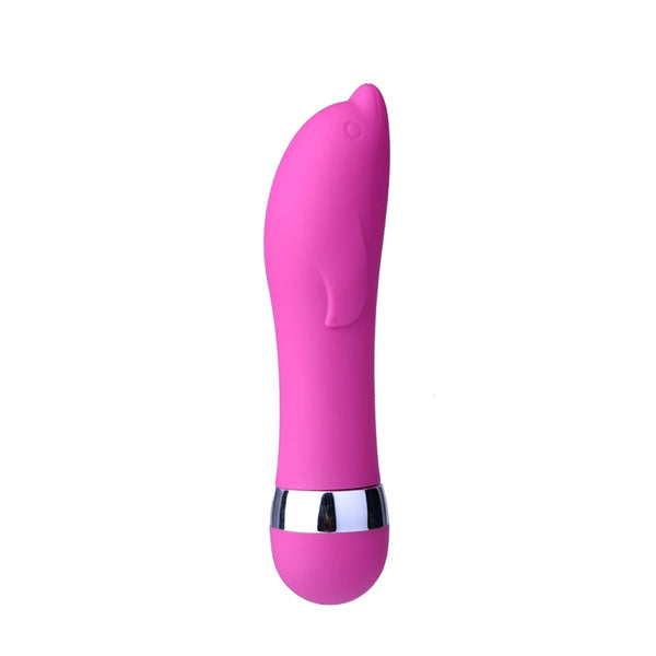 Mini Bullet Vibrator