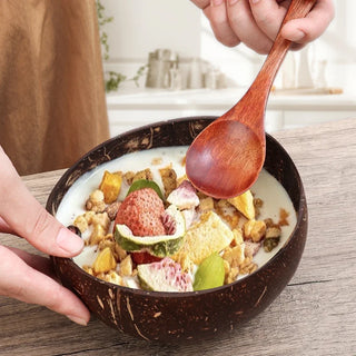 Natural Coconut Bowl Dinner Set