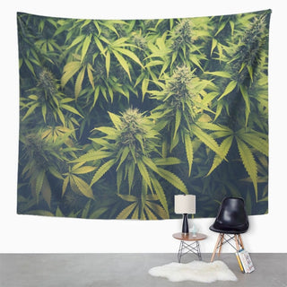 Print 60x80 Inches Green Weed Cannabis Bud Marihuana Plants Marijuana Sativa Hemp Indica Grow Farm Wall Hangings Tapestry Home