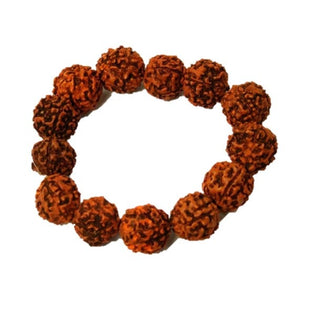 RUDRAKSHA Bracelet